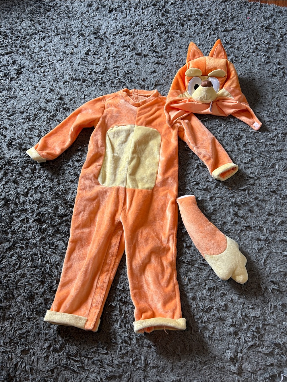 Bluey- bingo costume